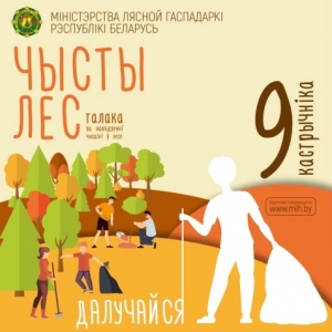 Акция "Чистый лес" пройдет в Беларуси 9 октября