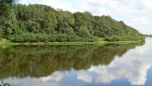 Правила поведения в водоохранных зонах и лесах