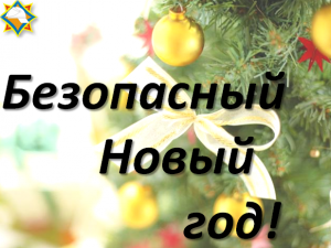 С 07 по 30 декабря в Ветковском районе будет проходить республиканская акция «Безопасный Новый год!»