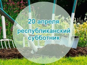 20 апреля на Ветковщине пройдет республиканский субботник