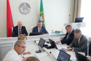 Во всех населенных пунктах Гомельщины есть электроснабжение, но возможны профилактические отключения