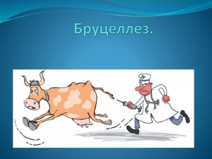Бруцеллёз – инфекционное заболевание, сопровождающееся лихорадкой, поражением сосудистой, нервной и других систем и особенно часто опорно-двигательного аппарата