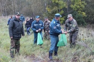 В Ветковском районе прошла масштабная экологическая акция «Чистый лес»