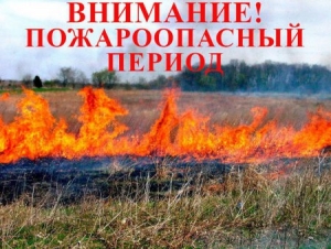 Пожарная безопасность в Гомельской области в 2024 году