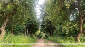 Абмежаванні на наведванне лясоў дзейнічаюць у 34 раёнах Беларусі