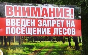 Ветковский спецлесхоз информирует жителей района о том, что с 12 июня на всей территории Ветковского района ведён запрет на посещение лесов