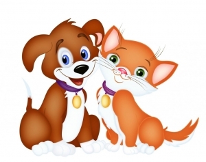 У службу "Адно акно" за рэгістрацыяй сабак, катоў з выдачай рэгістрацыйнага пасведчання і жэтона