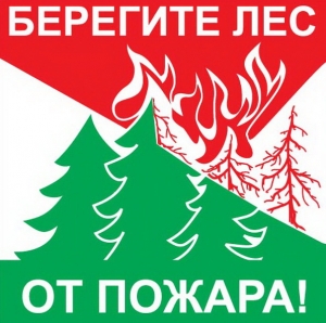 Разжёг  костёр — заплатил рублём