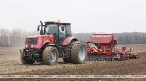 У Беларусі раннія яравыя культуры пасеялі на 82 працэнтах плошчаў