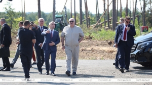 "Будем в авральном режиме это все забирать". Как по поручению Лукашенко разбирают буреломы в лесах