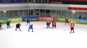 "Вогненныя рысі" з Гомельскага раёна перамаглі на "Залатой шайбе" ў старэйшай групе дывізіёна "Б"