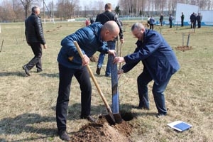 В агрогородке Великие Немки высадили 75 молодых берёз